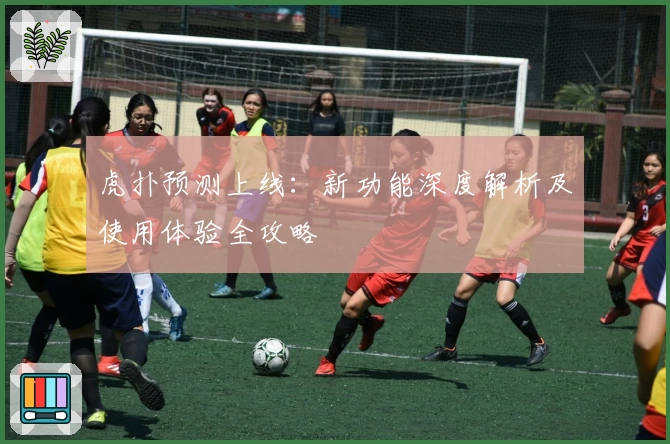 虎扑预测上线：新功能深度解析及使用体验全攻略