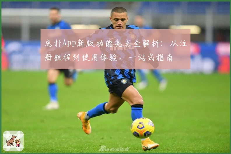 虎扑App新版功能亮点全解析：从注册教程到使用体验，一站式指南